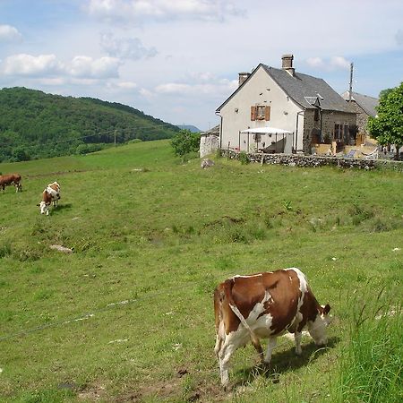 Chez Marraine Sauvat Exterior foto