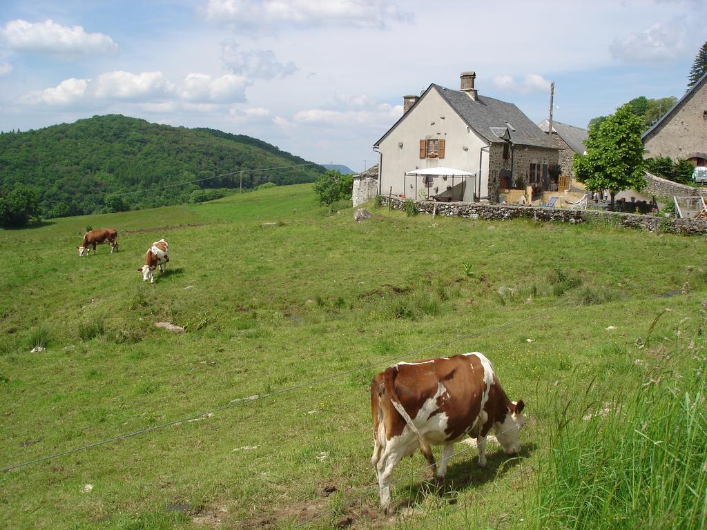 Chez Marraine Sauvat Exterior foto